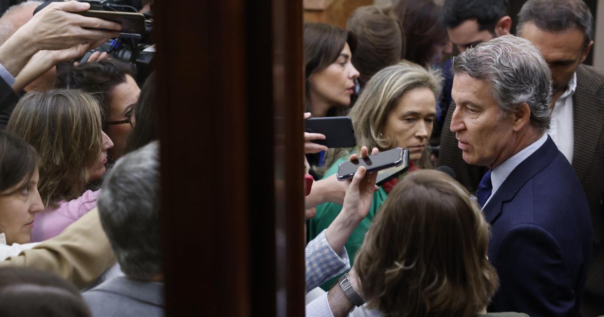 El líder del PP, Alberto Núñez Feijóo