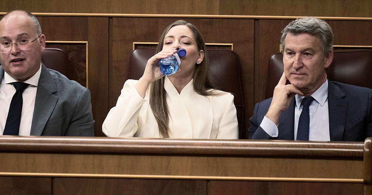 Miguel Tellado, Ester Muñoz y Alberto Núñez Feijóo, en el Congreso