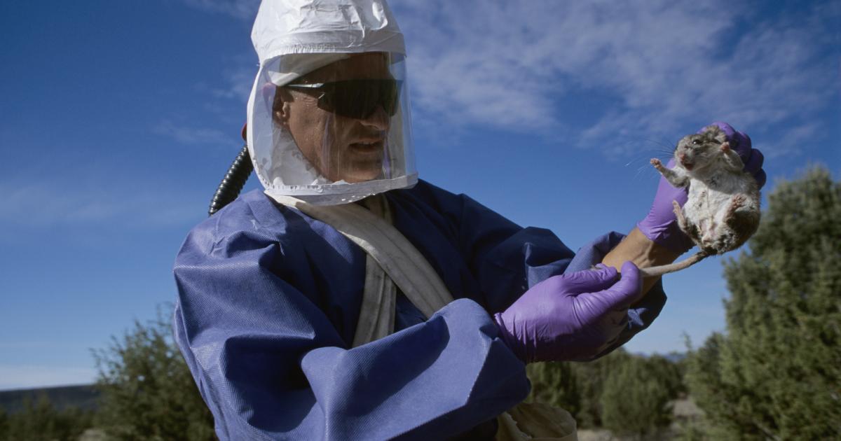 Un brote de hantavirus