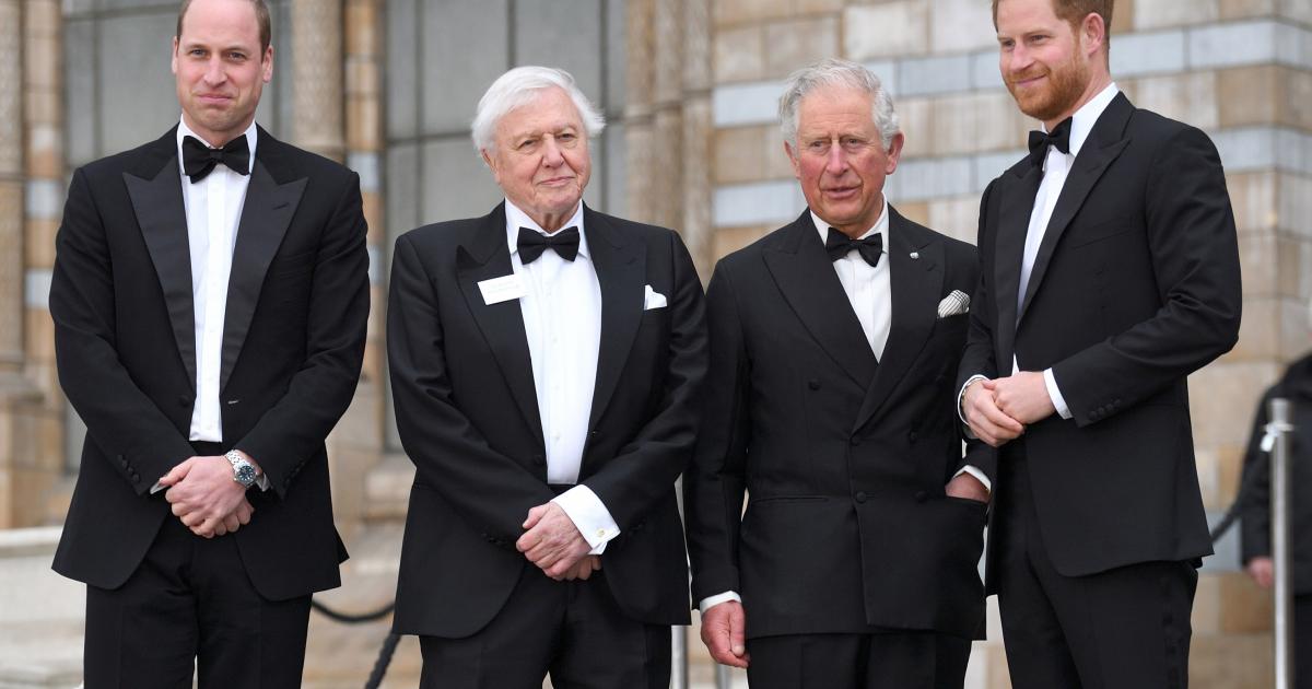 El príncipe Guillermo, Sir David Attenborough, Carlos III y el príncipe Harry en el estreno de 'Our Planet'