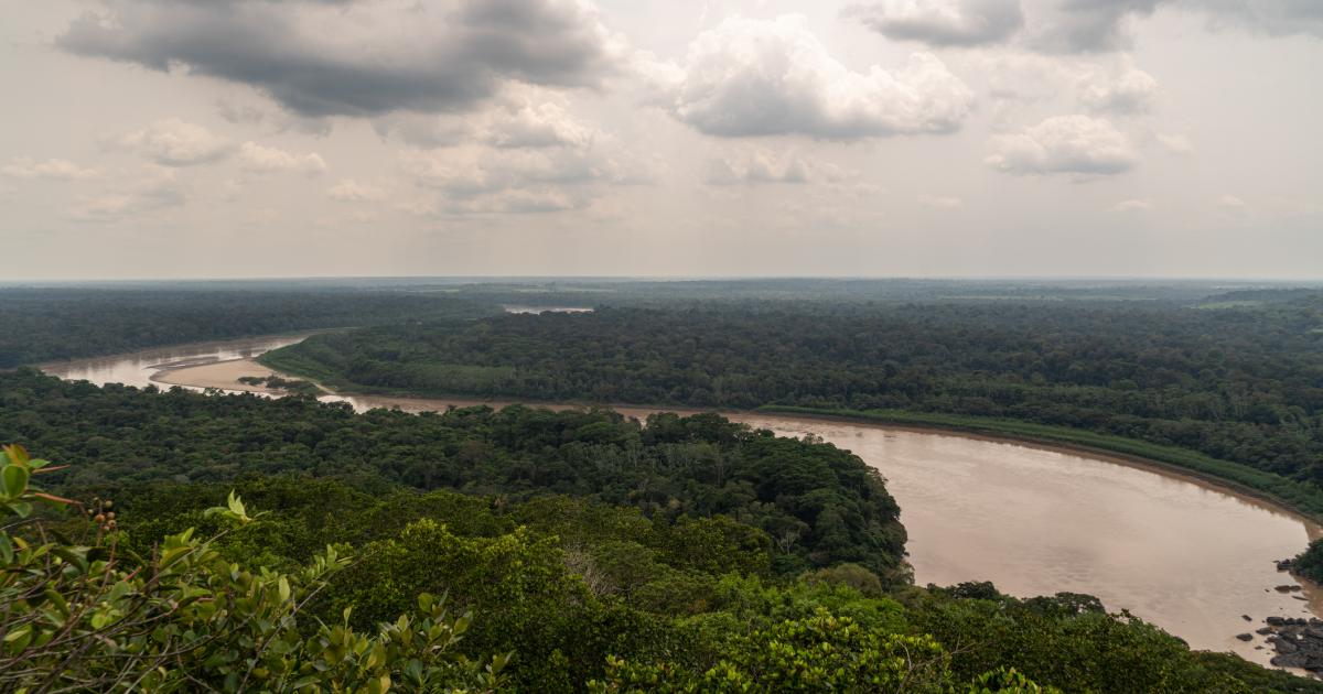 Amazonía