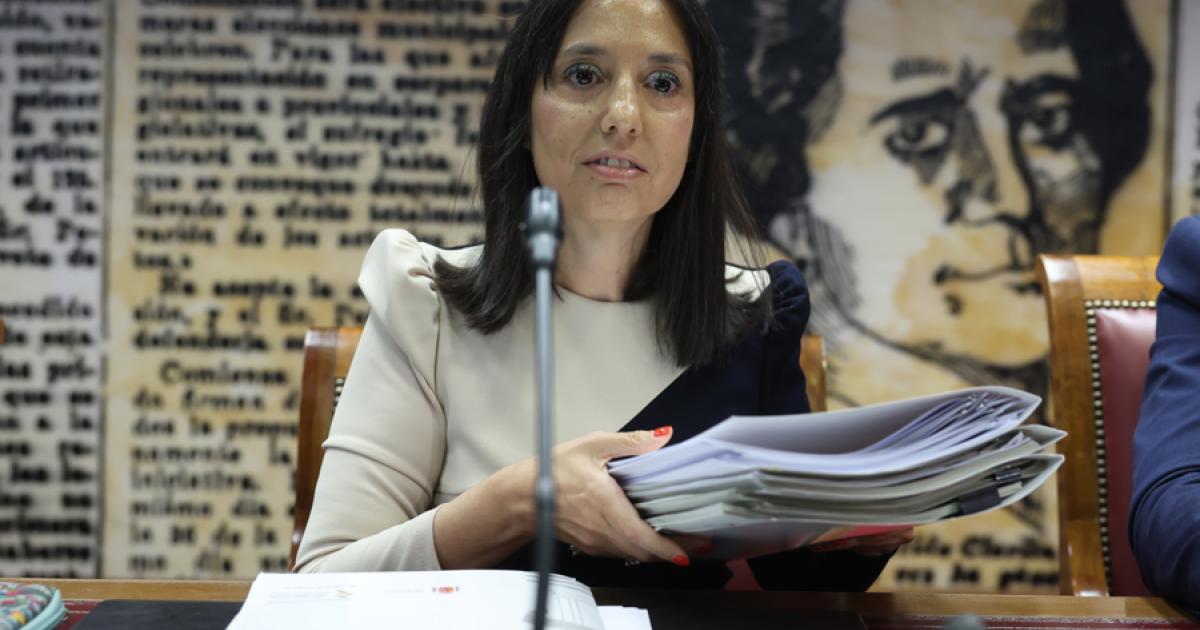 Mercedes González, en el Senado este martes