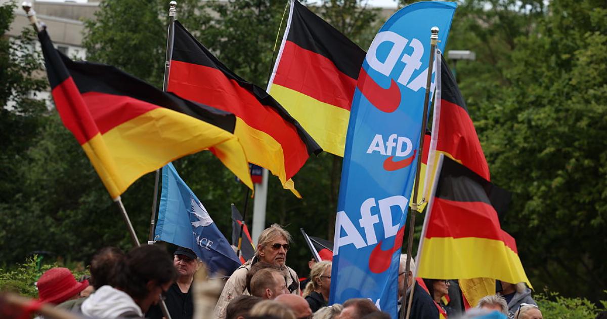 Simpatizantes de Alternativa para Alemania (AfD) en Renania del Norte-Westfalia, en una protesta contra las políticas de empleo del Gobierno, el 5 de junio de 2026.