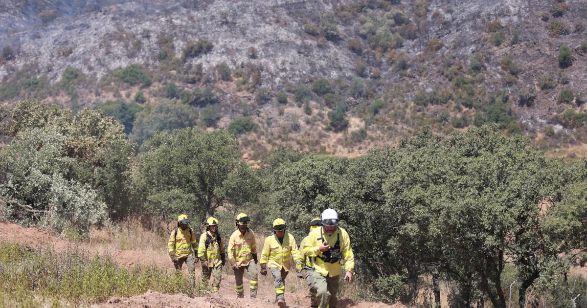 Personal de extinción de incendios, en el registrado en Huelva (Andalucía) en junio de 2026.
