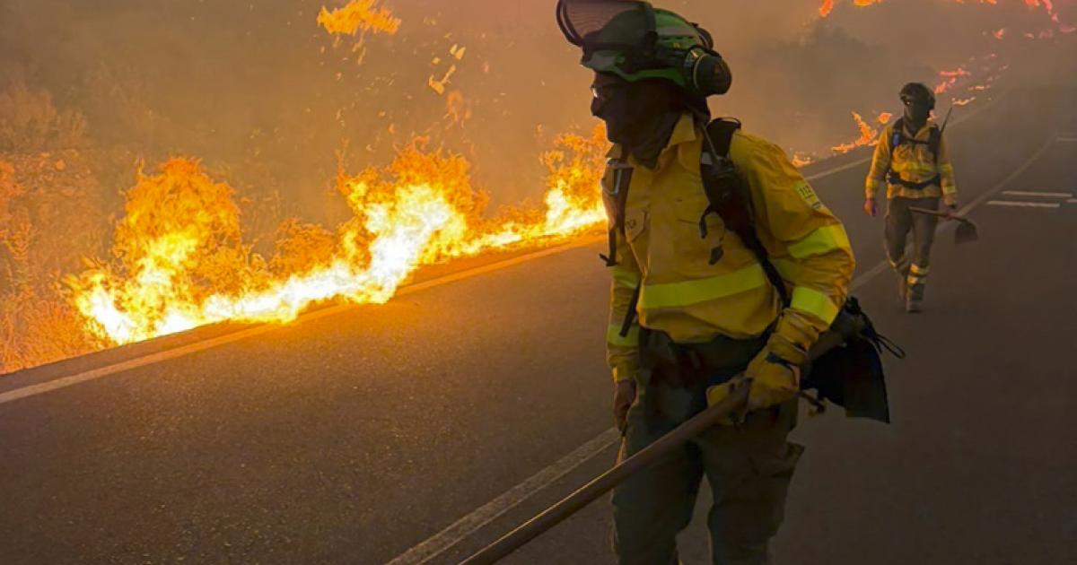Varios bomberos trabajando en el incendio de Los Gallardos.