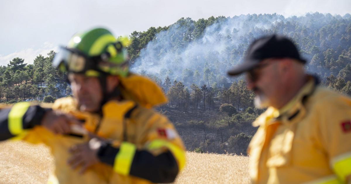 Efectivos desplegados para la extinción del incendio declarado este jueves en La Mierla, Guadalajara.