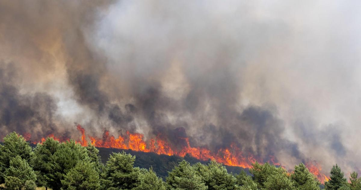 El incendio de La Mierla, en Guadalajara, se encuentra "fuera de su capacidad de extinción"