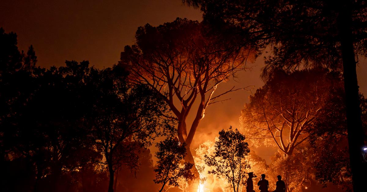 LA ADRADA, AVILA, SPAIN â" JULY 26: Flames engulf trees as a wildfire burns during overnight firefighting operations in La Adrada, in Spain's Avila province, on July 26, 2026. Fire crews continued battling the blaze through the night as it spread across forested areas, threatening nearby communities. (Photo by Diego Radames/Anadolu via Getty Images)