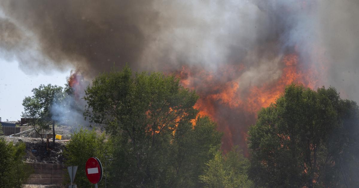 Incendio forestal.