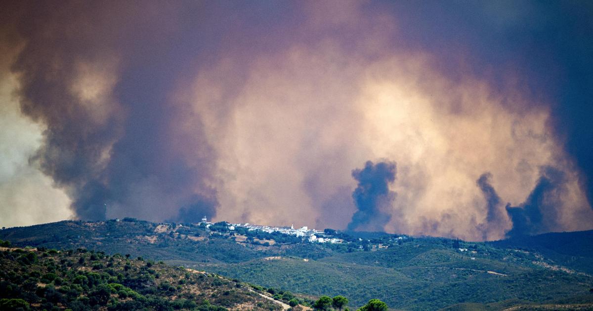 Vista del incendio de Niebla (Huelva), que ha afectado a más de 8.000 hectáreas y continúa activo, en una imagen del 9 de agosto de 2026.