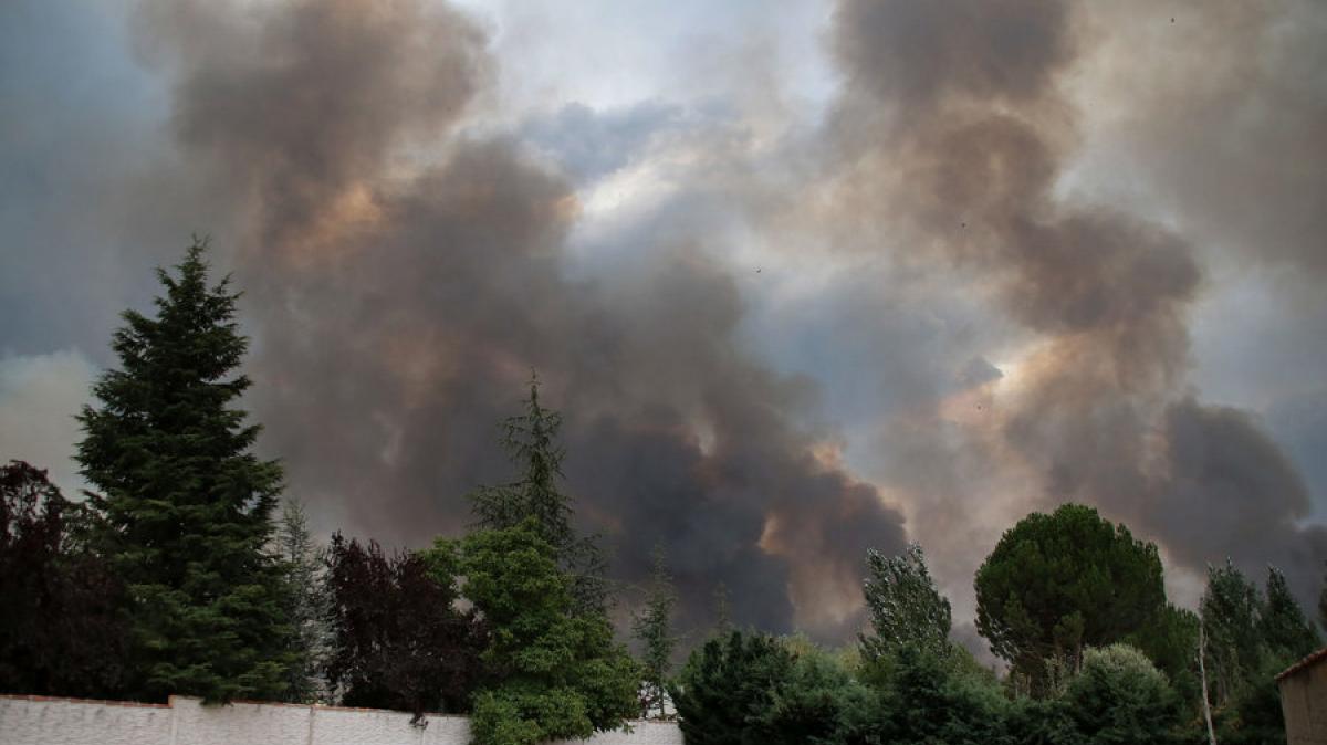 Incendio en Molezuelas de la Carballeda (Zamora), que se extendió hasta León
