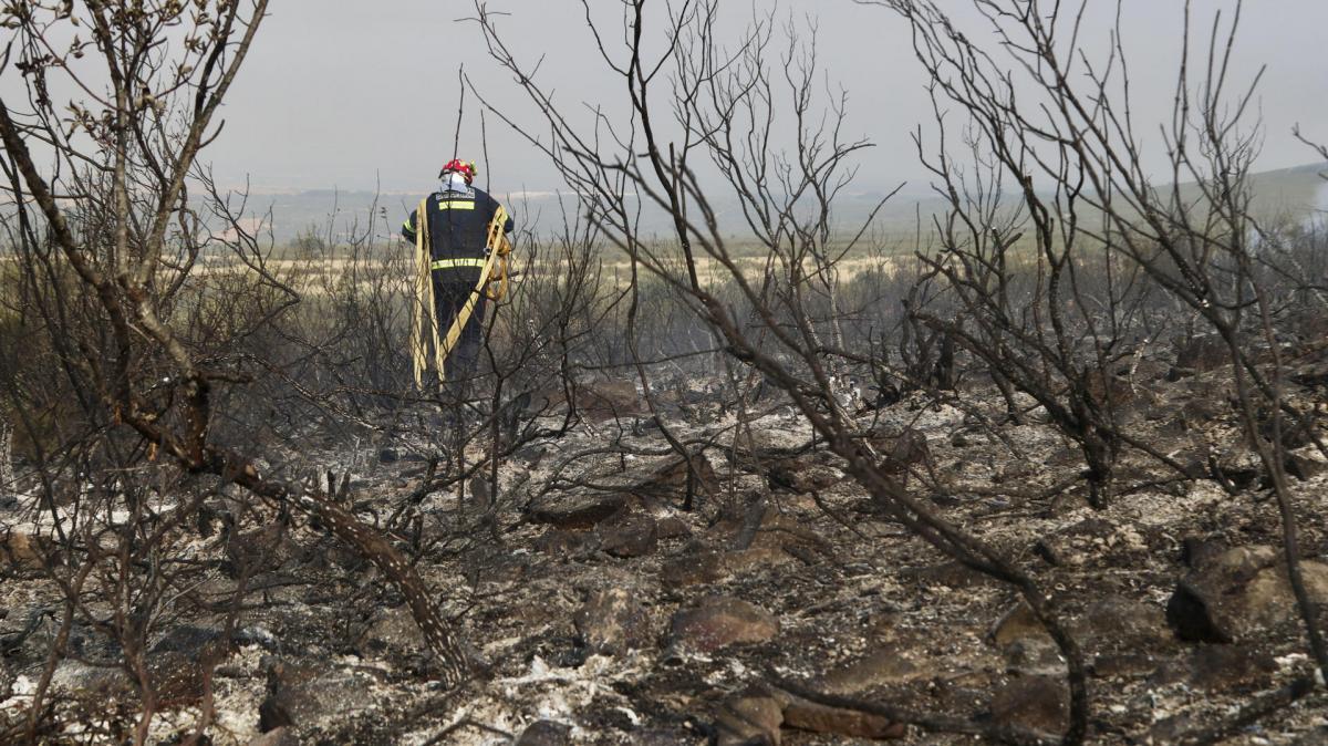Un bombero recorre una zona calcinada por el incendio forestal que afecta a Puercas (Zamora), en la sierra de la Culebra, este martes