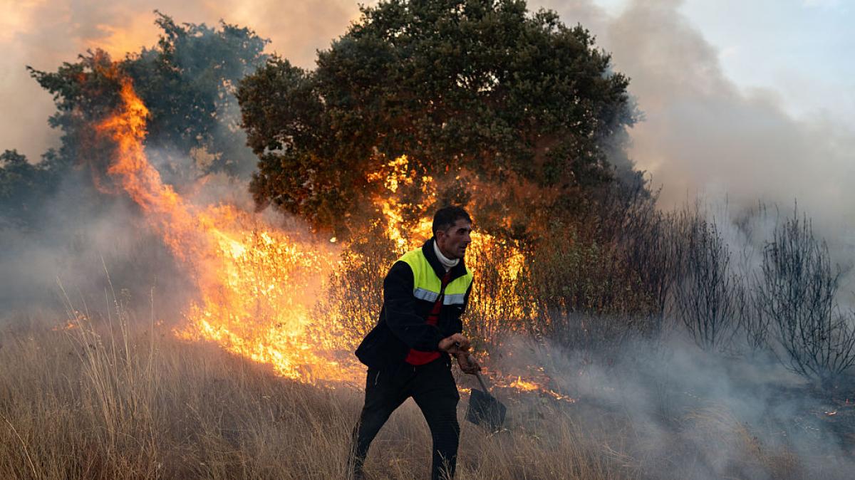 Un persona participa en las labores de extinción de un incendio en Abejera, Zamora.