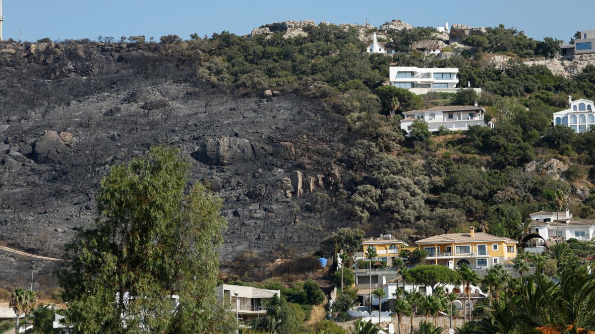 El incendio de Tarifa (Cádiz) provocó que las llamas se acercasen peligrosamente a viviendas.