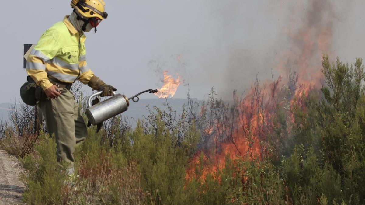 Un brigadista trabaja en las labores de extinción del incendio forestal que afectó a Puercas (Zamora), en la Sierra de la Culebra.