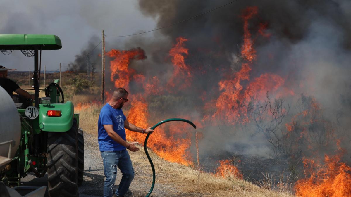 Una persona lucha contra las llamas del incendio de A Gudiña (Ourense), el jueves 14 de agosto de 2025
