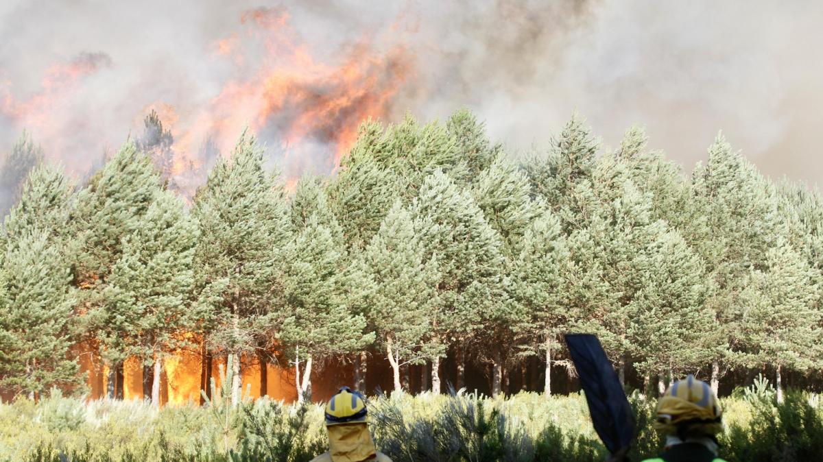 Los brigadistas intentan contener por segundo día el incendio en la zona limítrofe entre Ourense y Zamora.