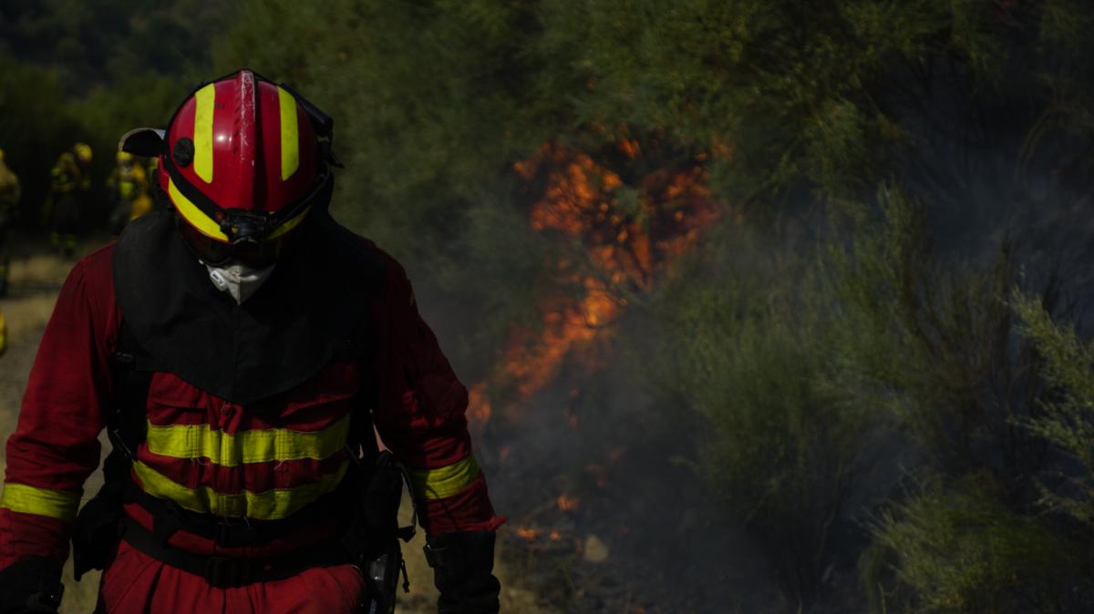 Efectivos de la UME trabajando en el incendio de Jarilla (Cáceres).