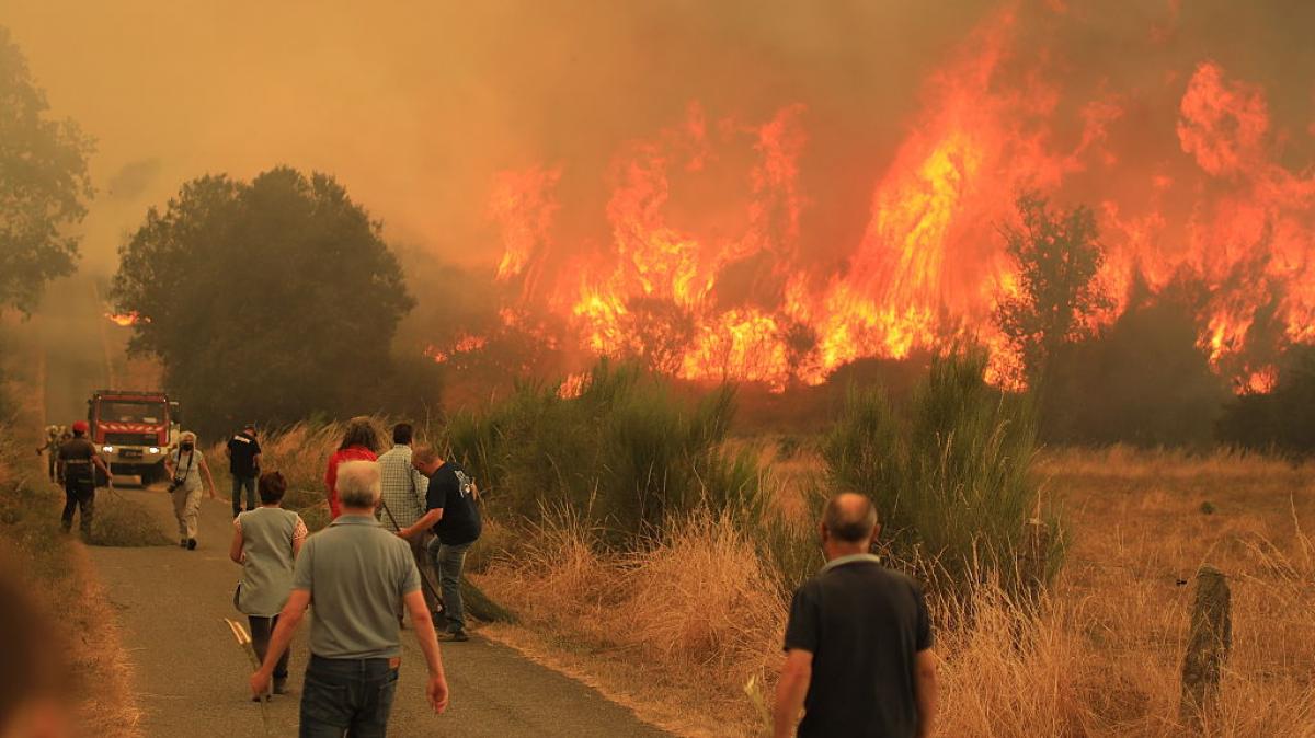 Incendio en Cualedro (Ourense), a 15 de agosto de 2025