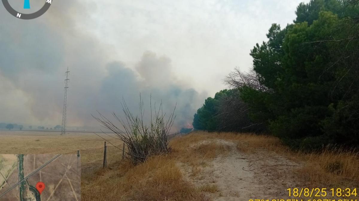 Vista del fuego en Hinojos (Huelva).