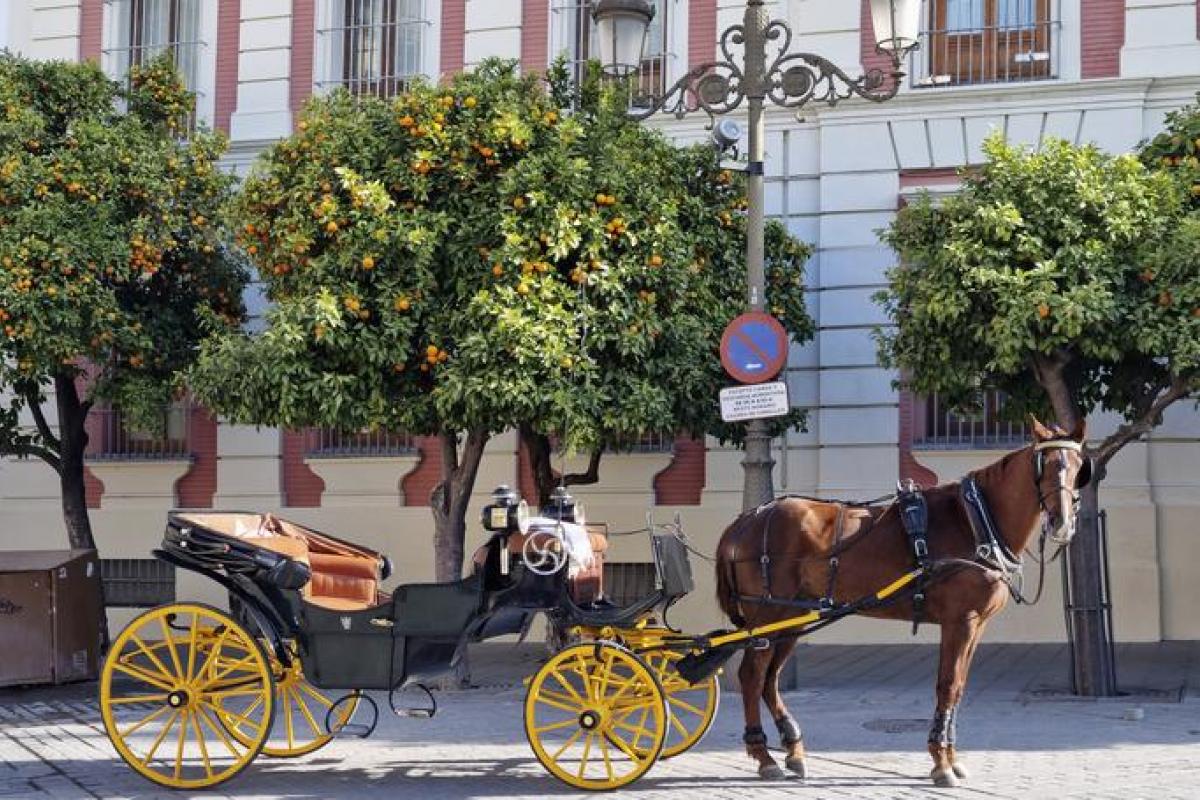Imagen de archivo de una calesa con varios naranjos al fondo, en una calle de Sevilla (Andalucía).