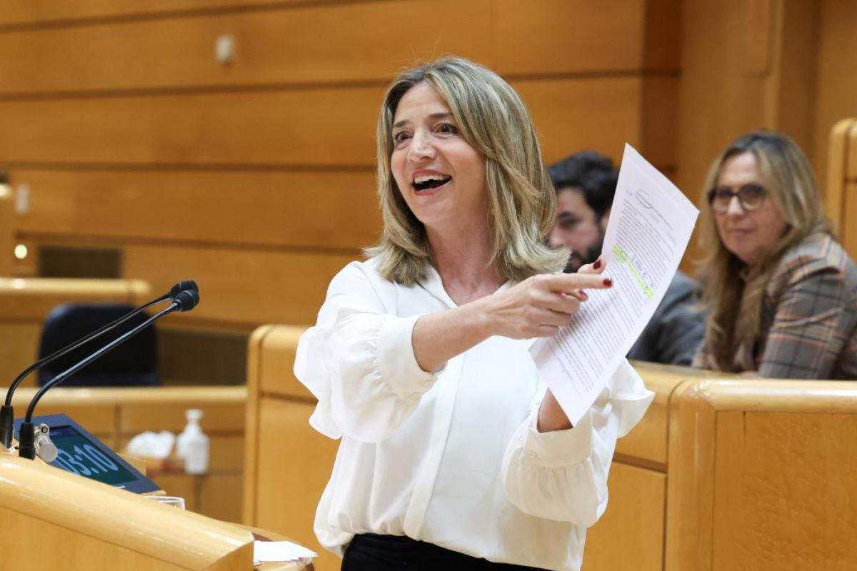 La portavoz del PP en el Senado, Alicia García