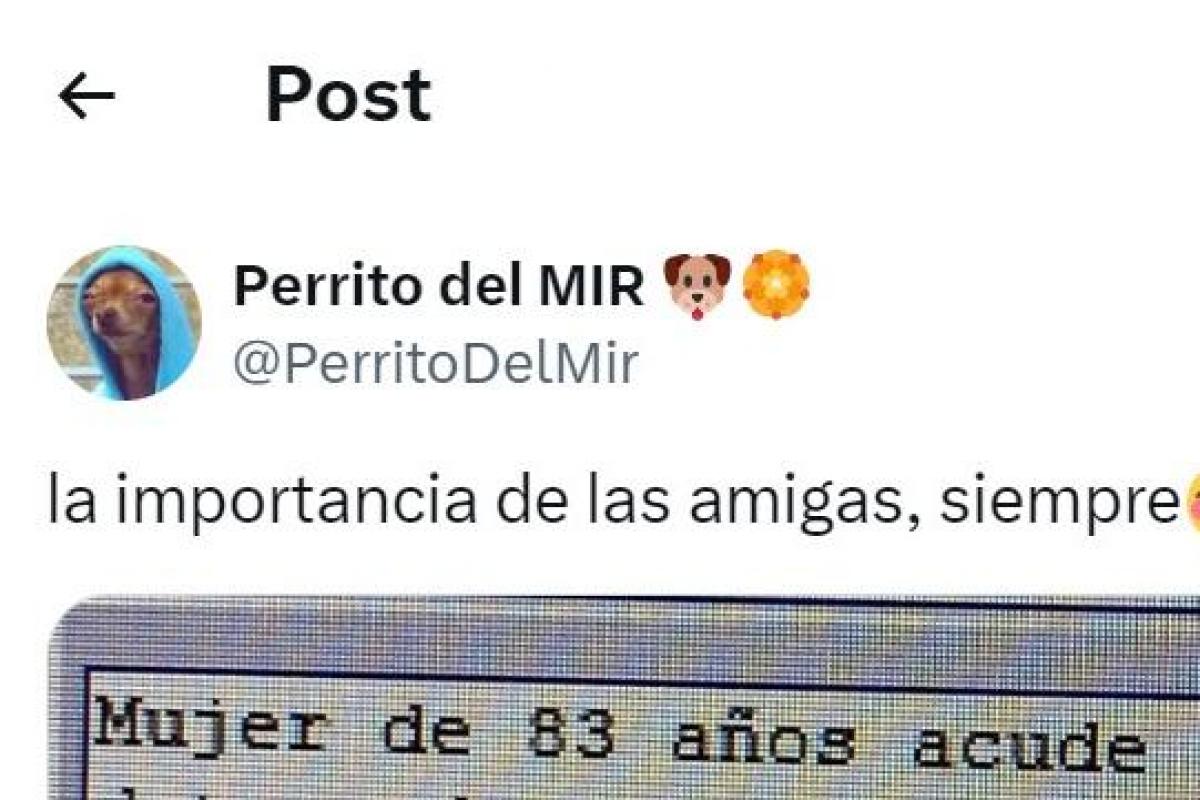 El tuit de @PerritoDelMir