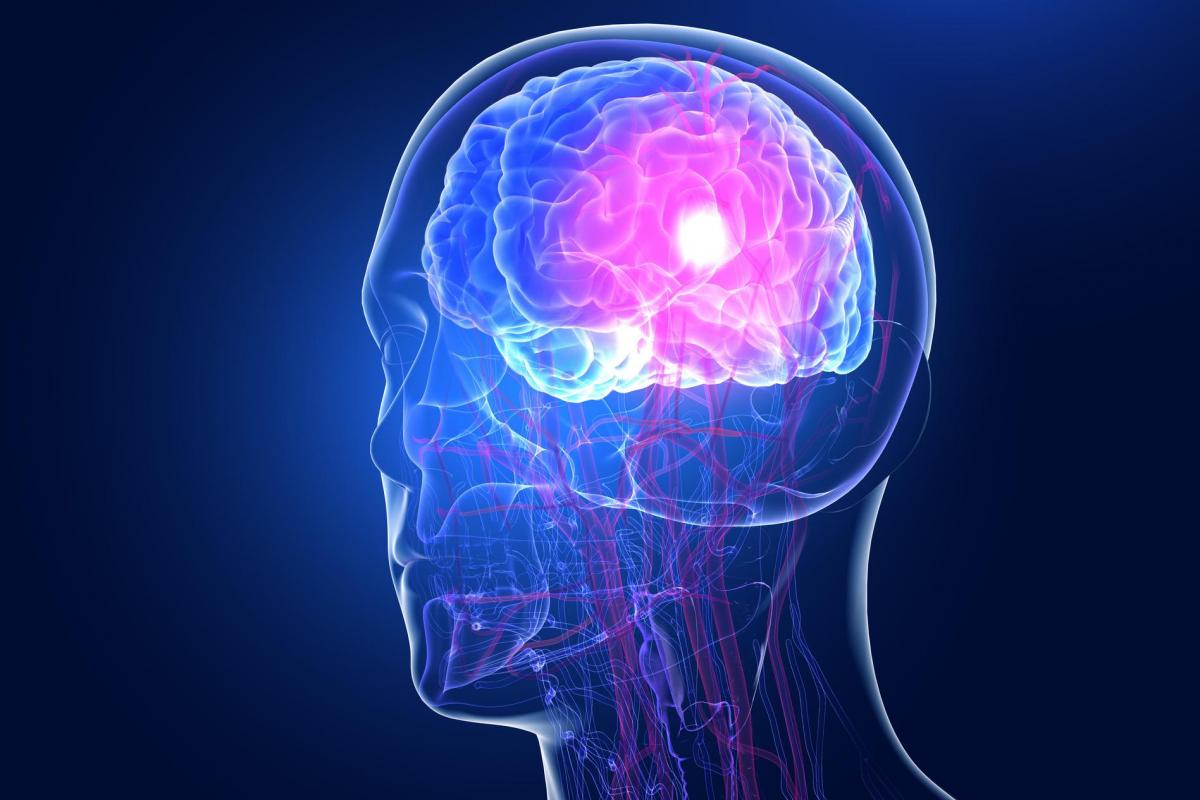 Imagen conceptual de un cerebro humano.