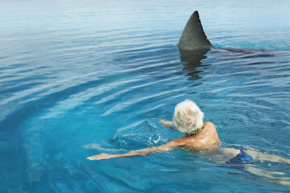 Una mujer nada junto a un tiburón, reconocible por su aleta.