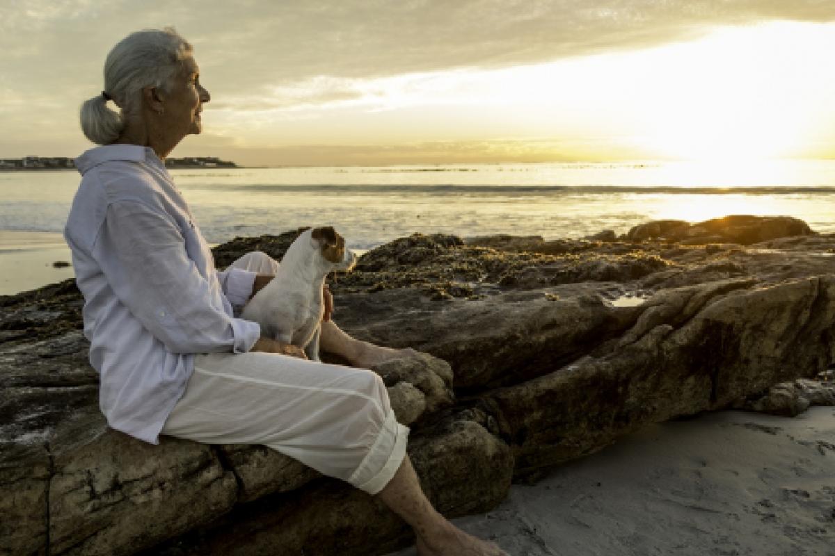 Subvenciones del Imserso