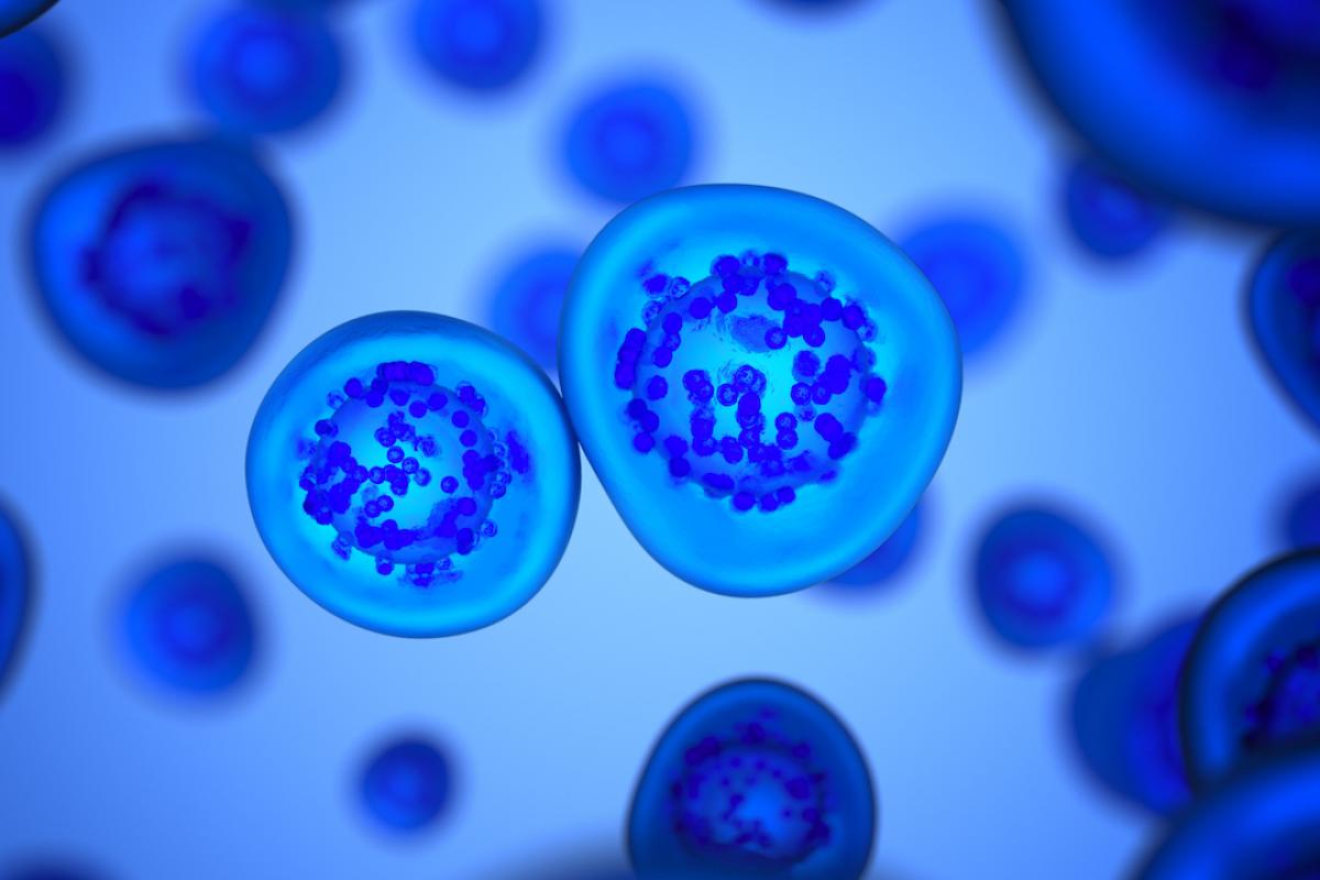 Ilustración de células animales