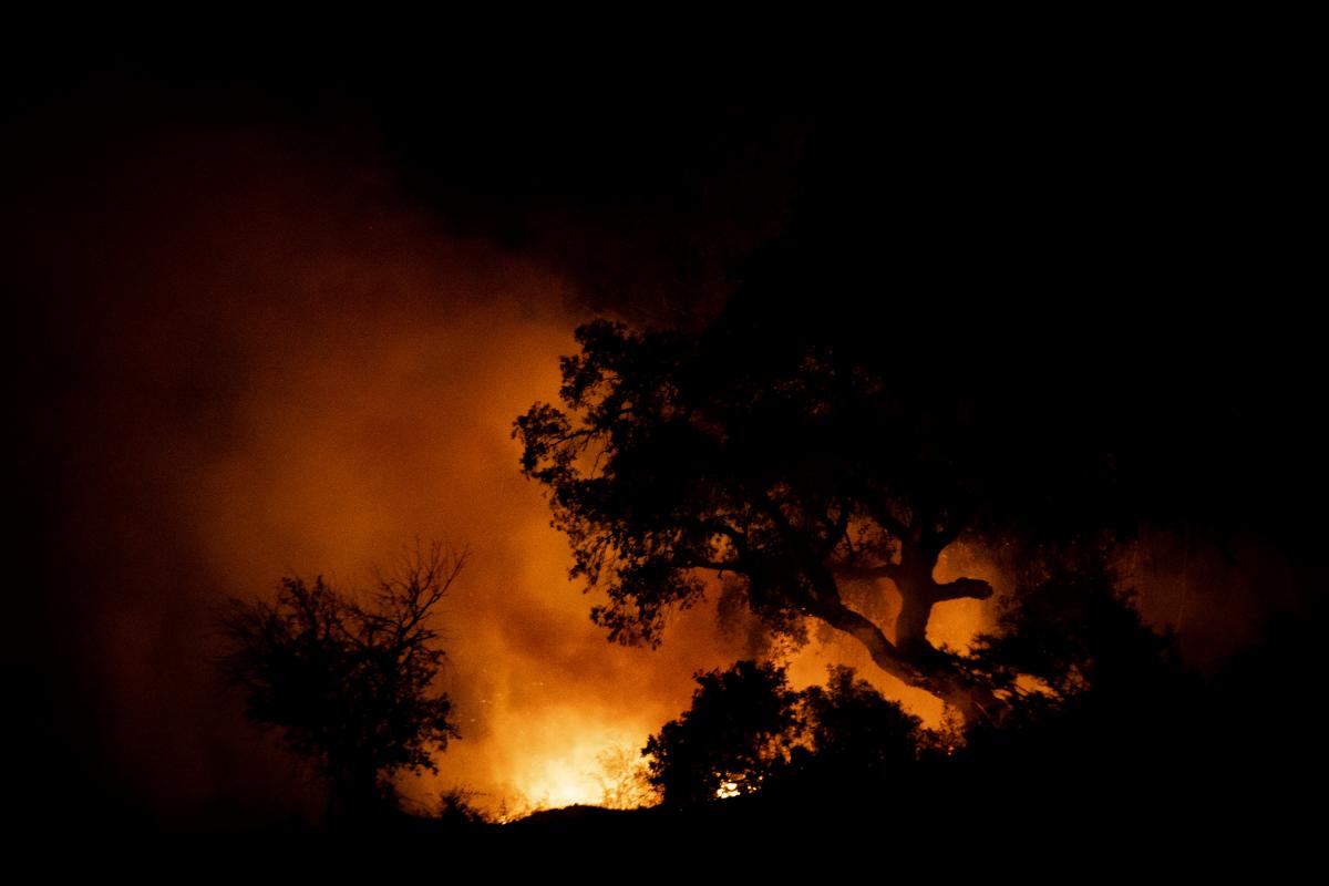 Imágenes del incendio en el paraje Huerta del Hambre de Bonares.