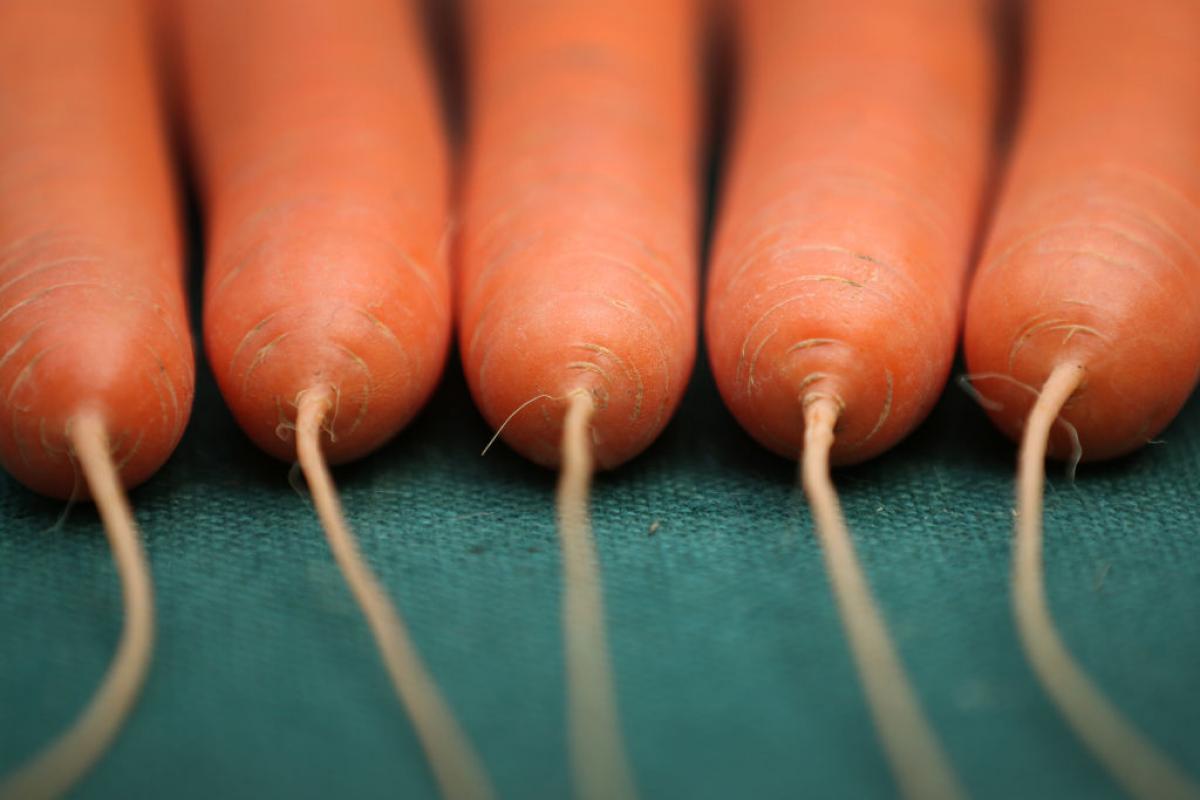 Zanahorias en una imagen de archivo.