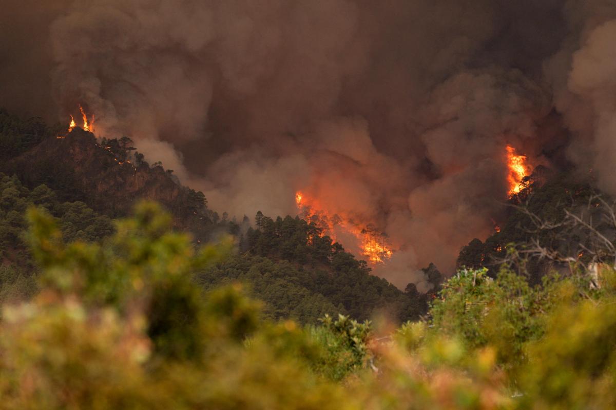 El incendio forestal declarado esta madrugada en Tenerife tiene mucha fuerza y su extinción es muy complicada debido a la orografía del terreno, ha informado el presidente de Canarias, Fernando Clavijo. En la imagen, zona de los altos de Candelaria.