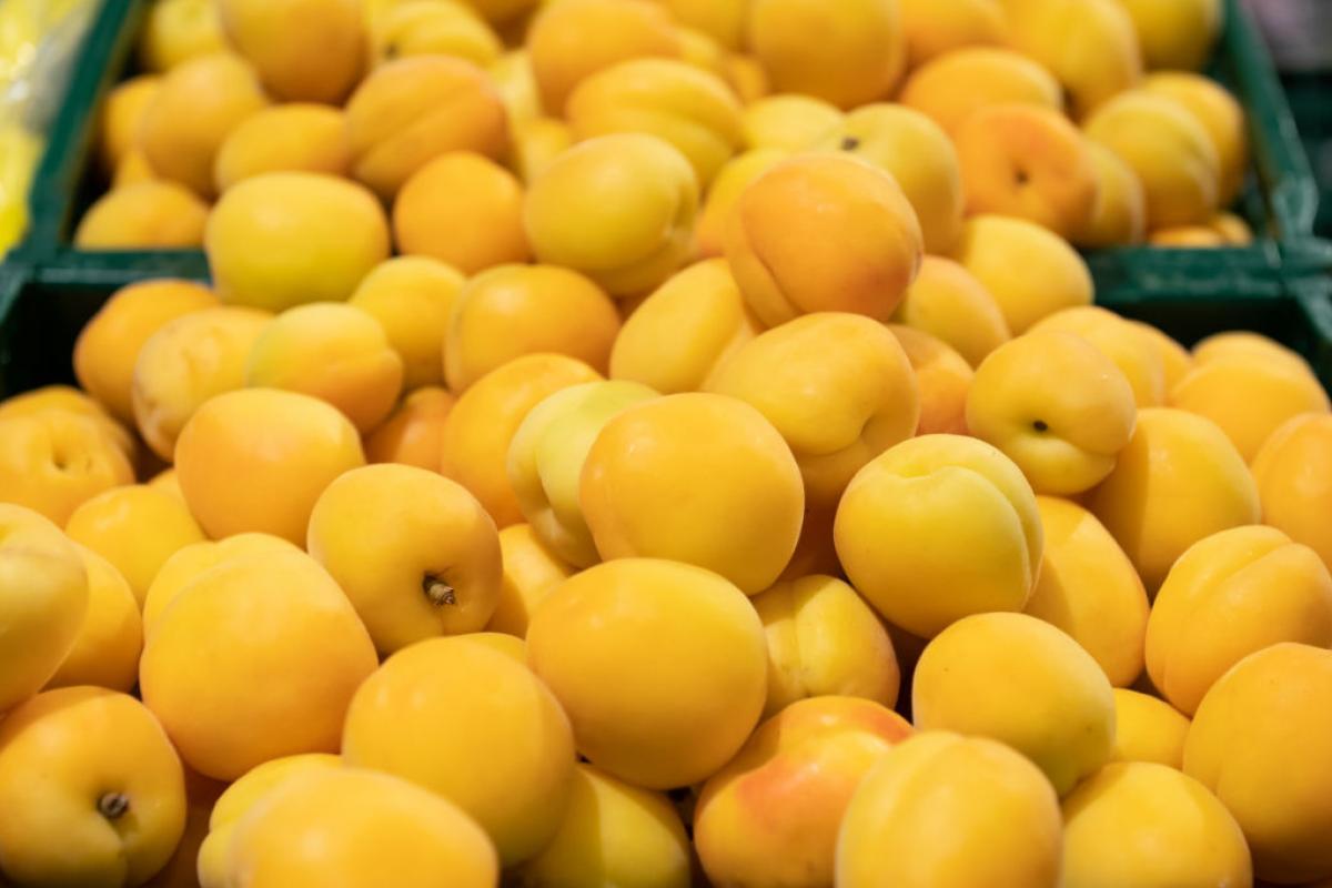 Albaricoques, almacenados en cajas.
