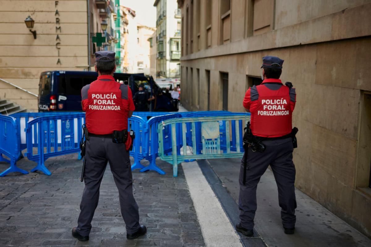 Imagen de archivo de agentes de la Policía Foral de Navarra.