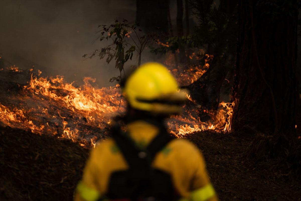 Personal de la BRIFOR vigila el avance del fuego en el incendio de Tenerife.