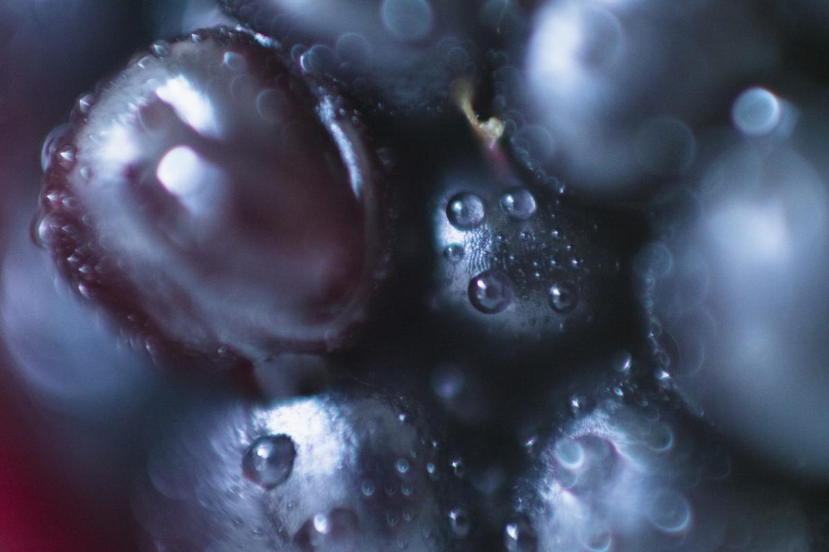 Plano detalle del alimento en cuestión.