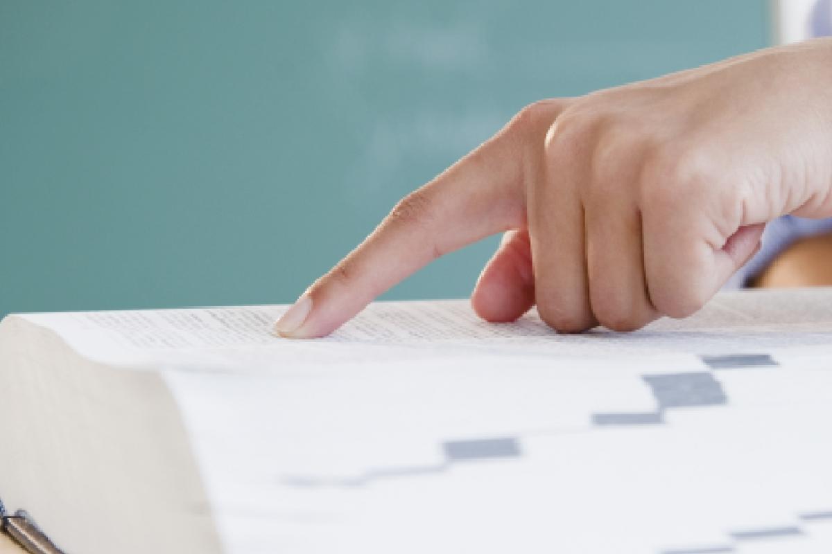 Una persona consultando el diccionario