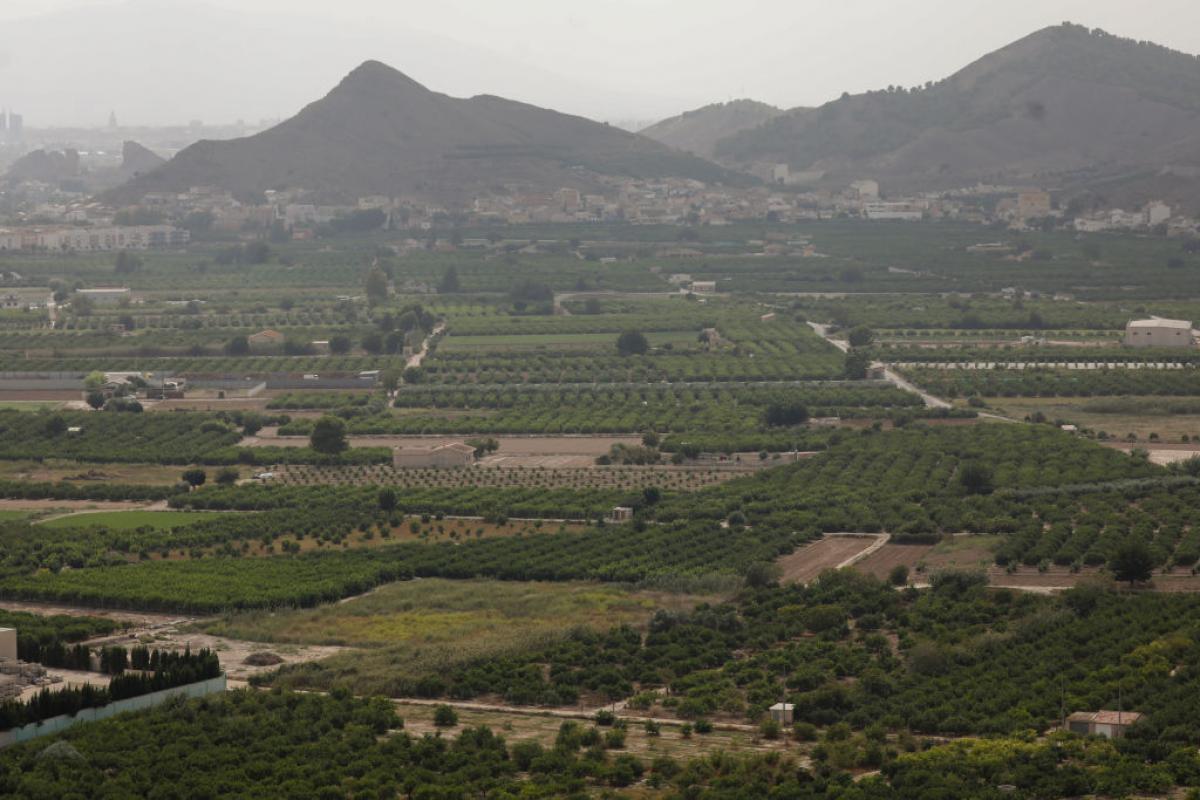 Panorámica de la zona conocida como Huerta de Murcia en una fotografía de 2021.