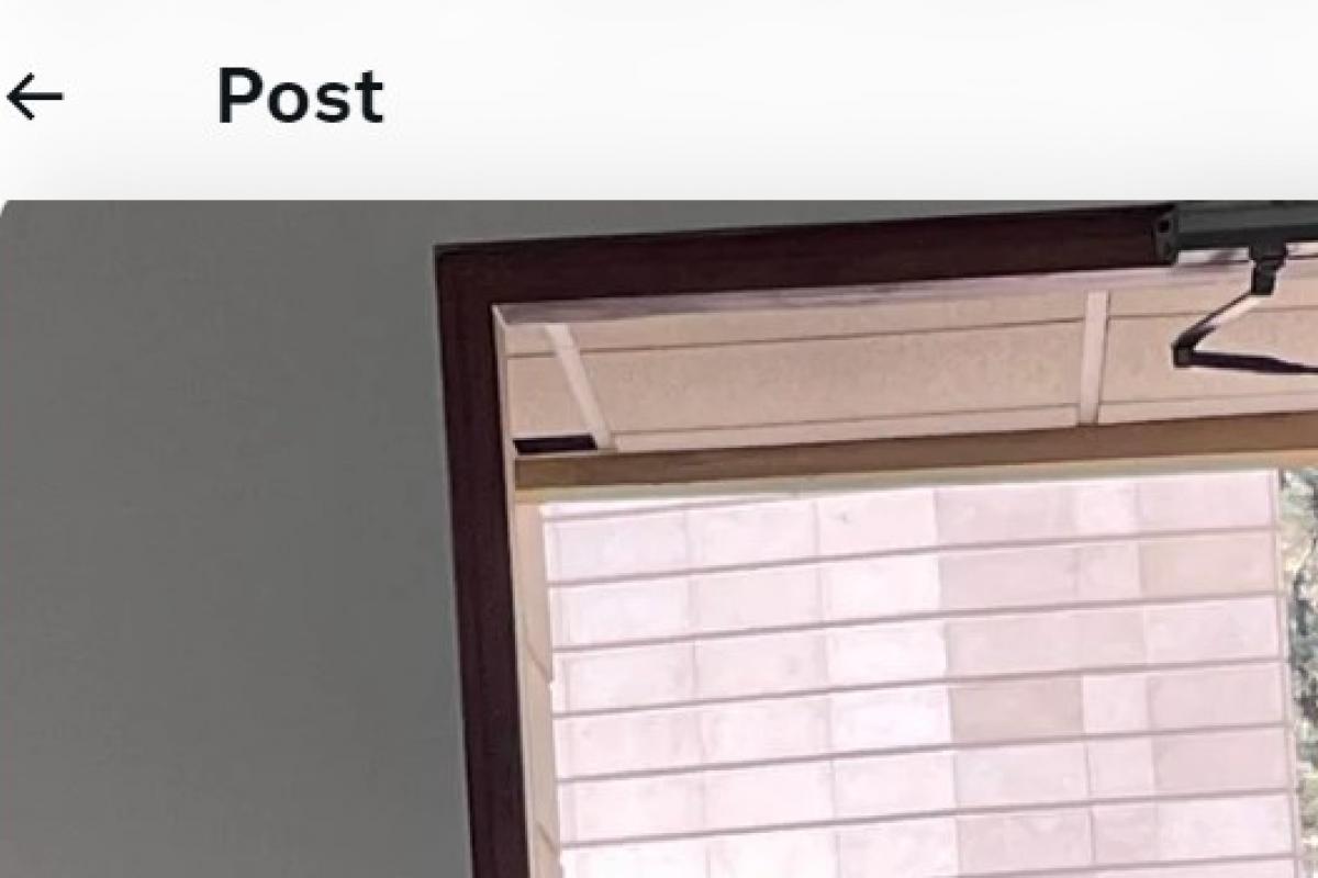 El tuit de @ndrea_abril.