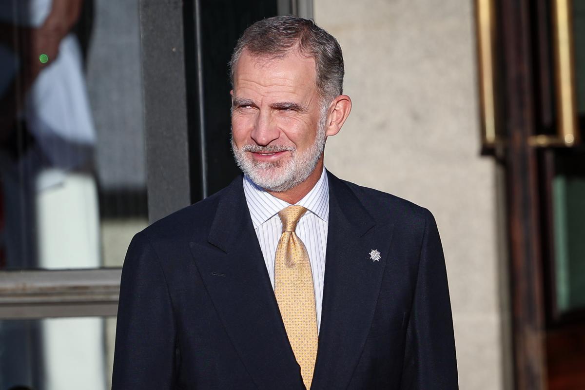 El rey Felipe Vi.