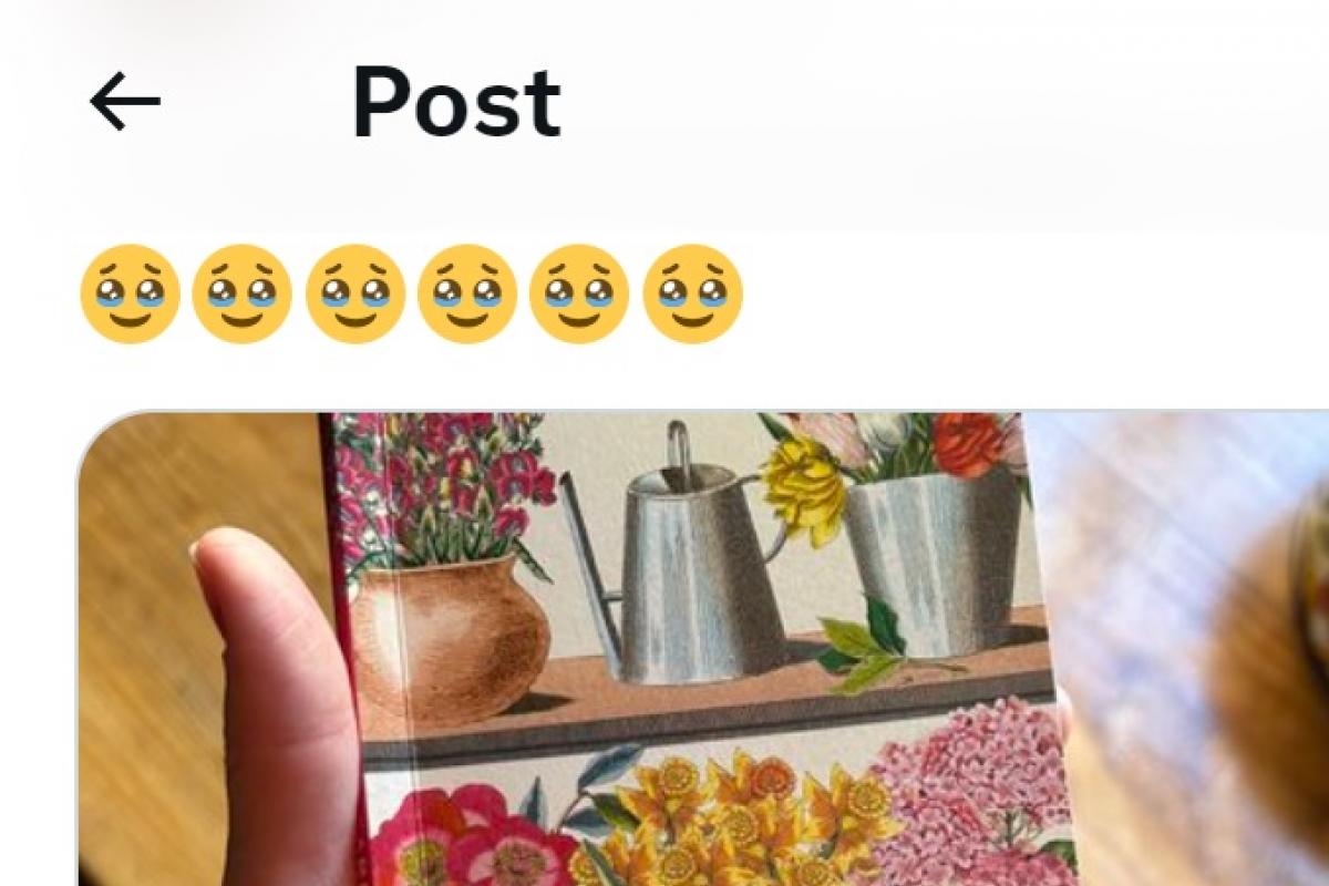 El tuit de la usuaria @clarahdebuen