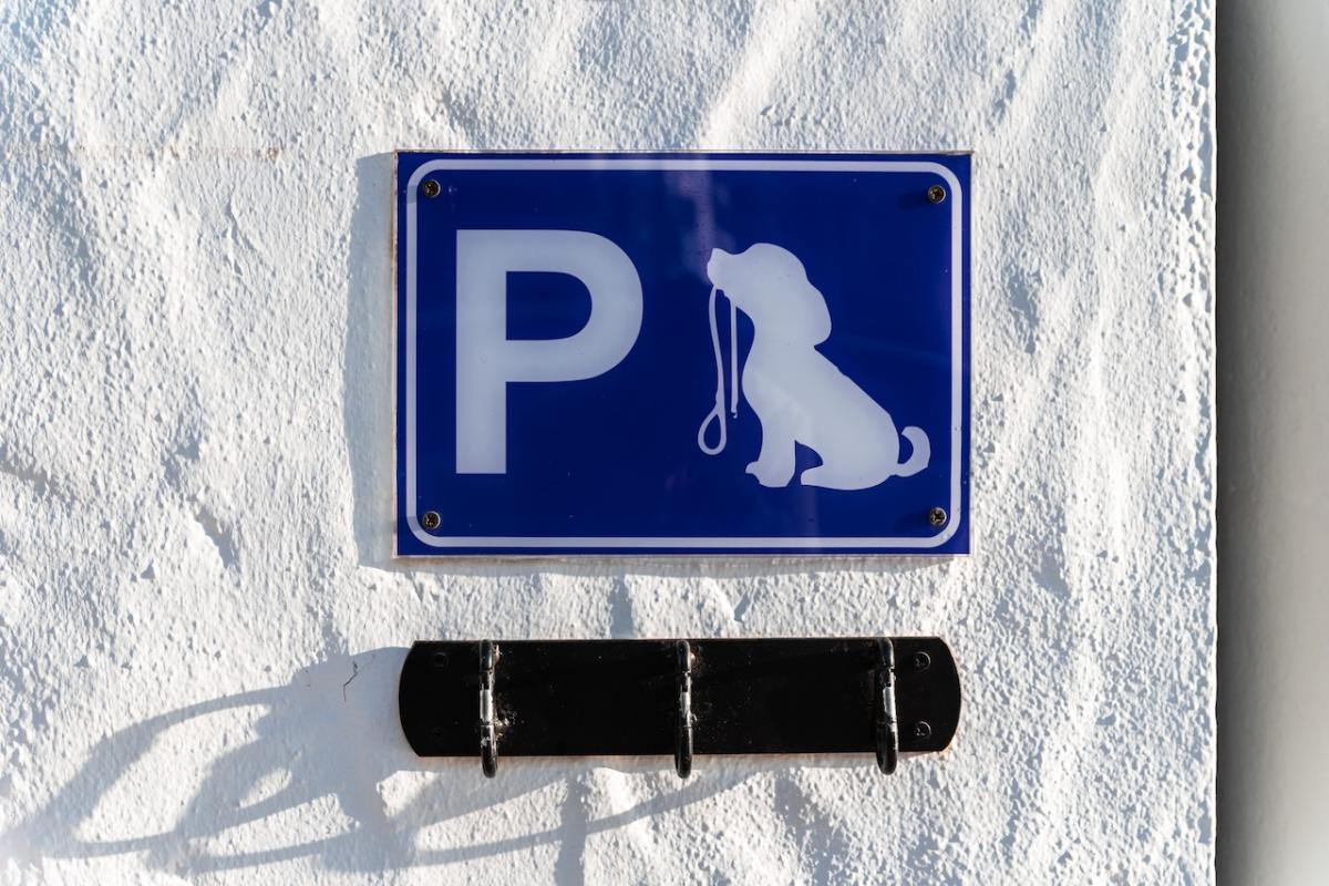 La Ley de Bienestar Animal prohibe dejar a los perros atados en la calle.