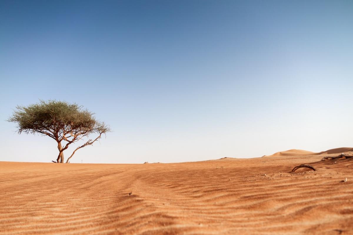 Desierto de Dubai