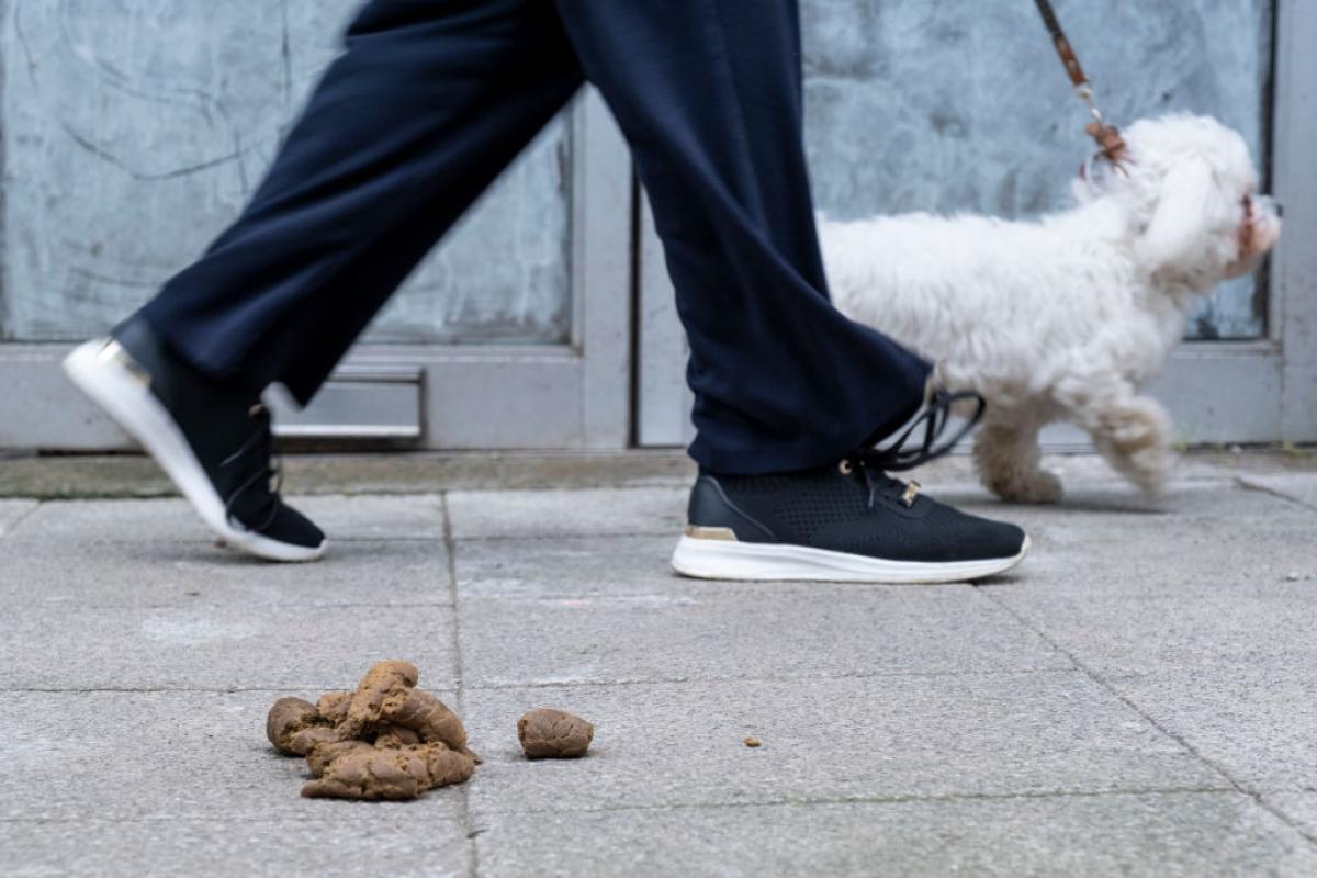 Una calle cualquiera con una escena demasiado habitual