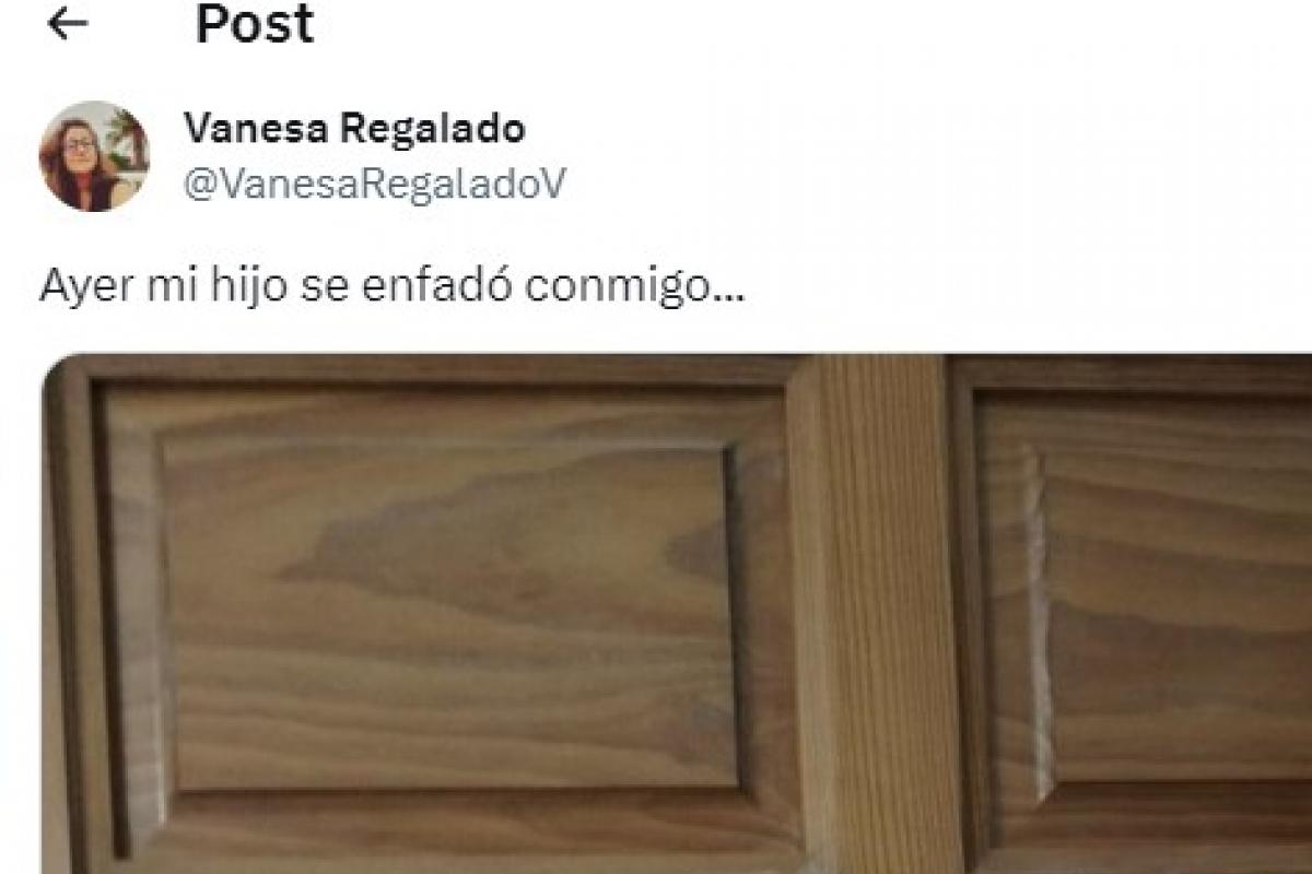 El tuit publicado por Vanesa Regalado en Twitter