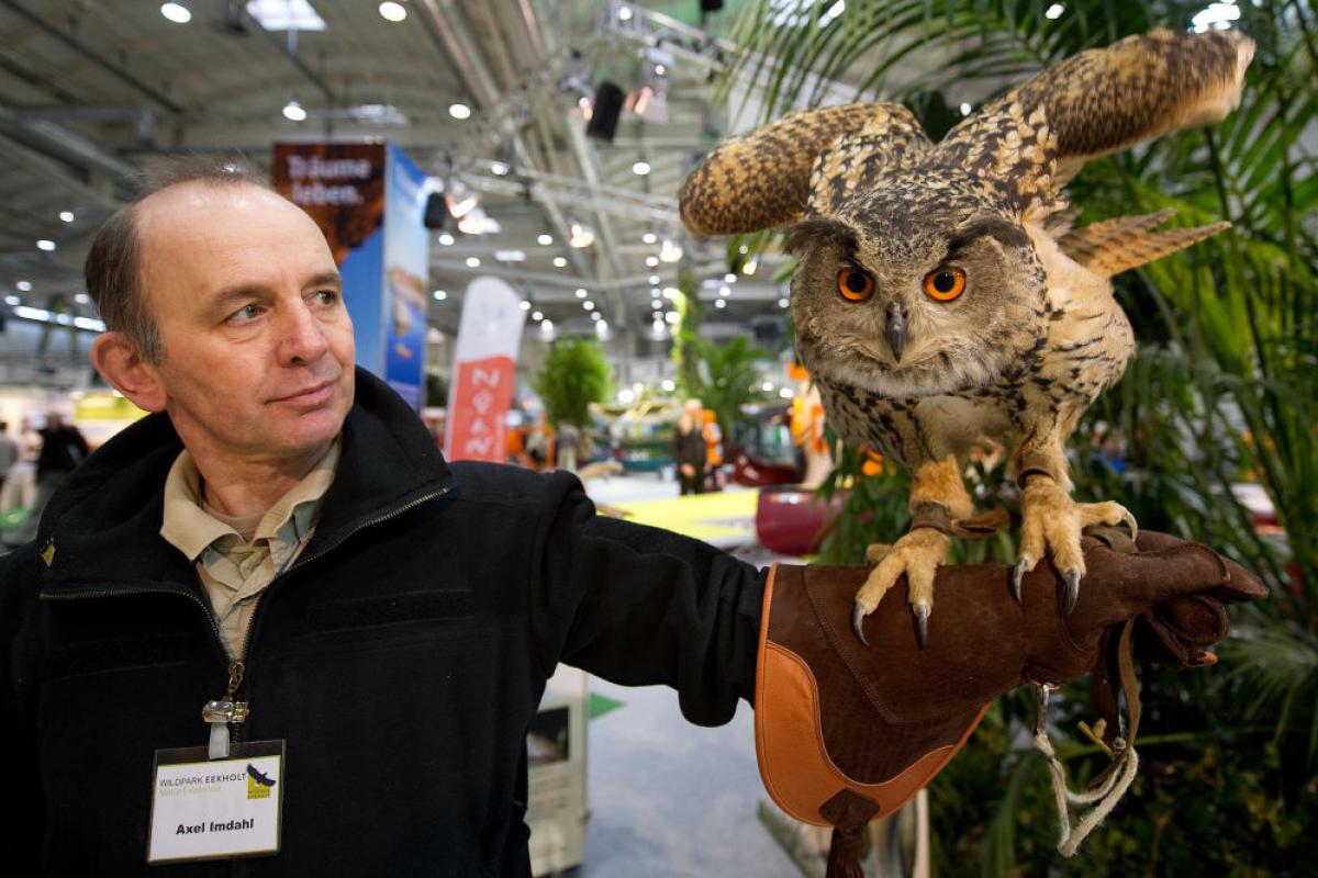 Feria de cetrería celebrada en Hamburgo.