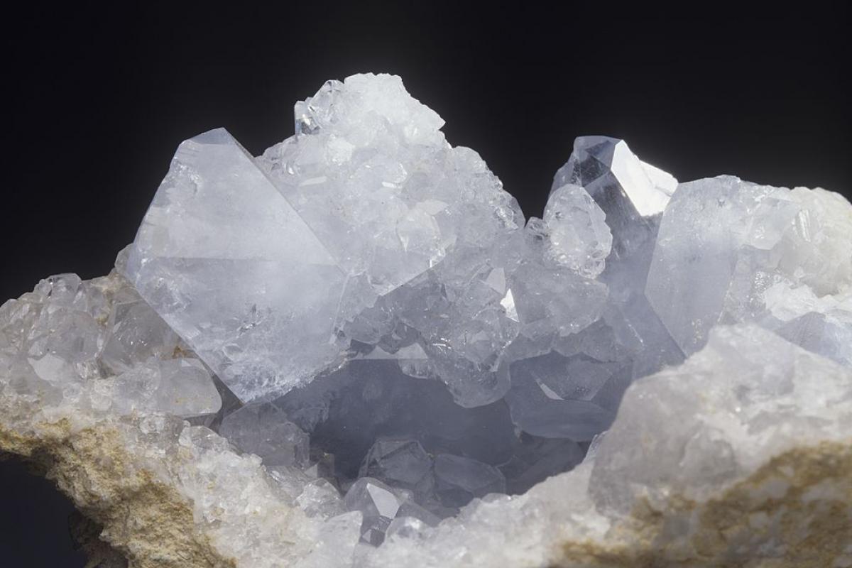 Celestina, en una imagen de archivo