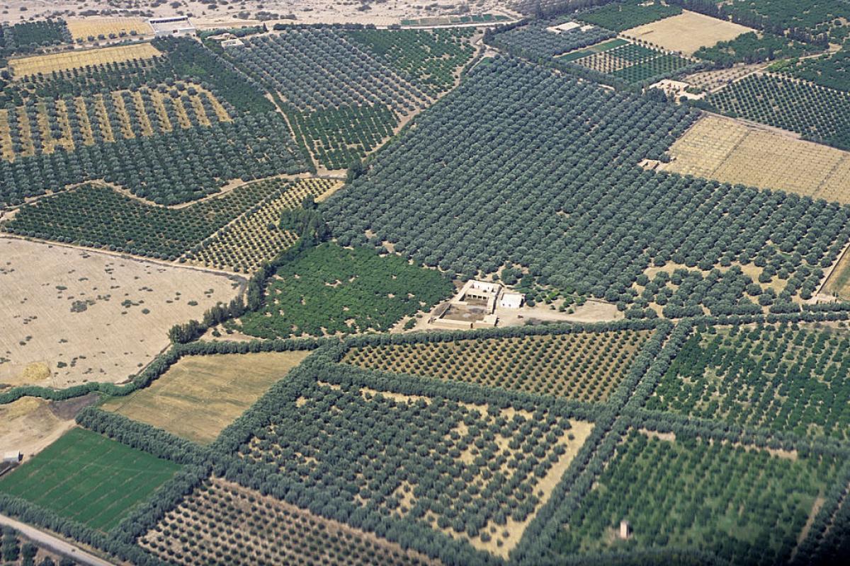 Vista aérea de una zona agrícola de Marruecos.